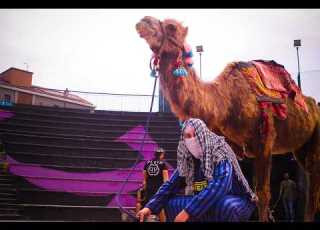 Mowgli BALLA Prod Ot Karmoz Official Video