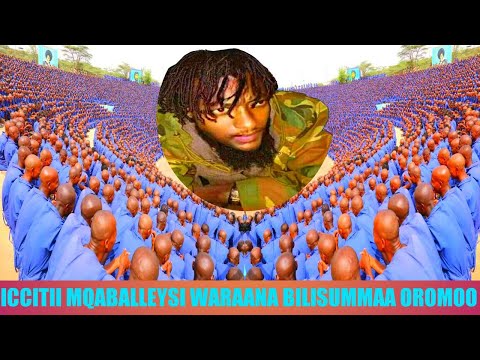 Maqaballeysi WBO Waraana Bilisummaa Oromoorratti Godhamaa Jiru Iccitii Isaanii Dhagayaa Kunoo
