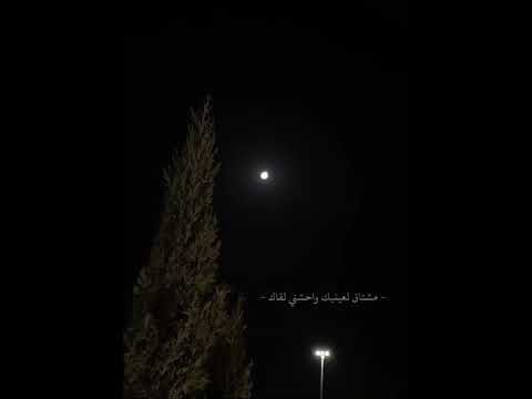 زينه عماد فين لياليك بدون موسيقى