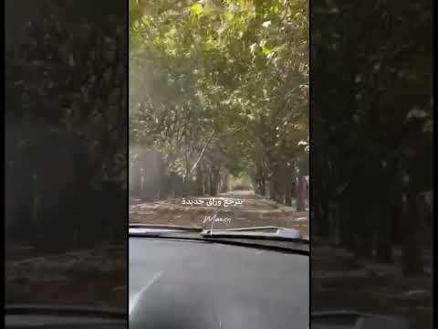 ادم أوراق الخريف