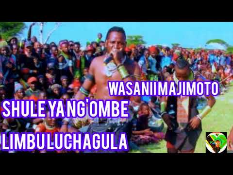 SHULE YA NG OMBE UJUMBE WASANII TIBWE NAMBA 2 AUDIO OFFICIR 2023 0699056919