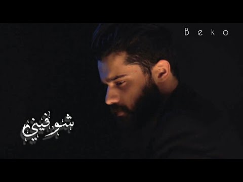 شوفيني كل يوم زكرى بكتابك رح كون