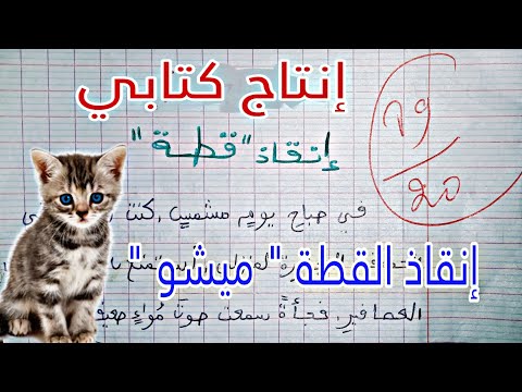 إصلاح إنتاج كتابي حول إنقاذ حيوان أليف إنقاذ قطة صغيرة عني بالعبارت و الوصف وضعية إدماجية