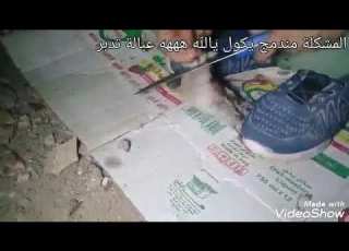 ياريتها جابت دكر بط ولا خلفتك قال عايز يذبح حمامة قال