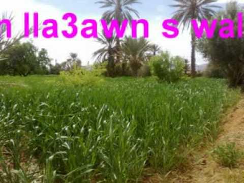 Taghzoute Moulay Sliman Amazigh