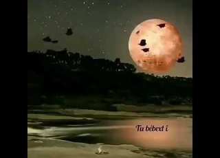 اغنية ديار ديرسم وي دونياي أو بيبخ تي