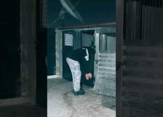 قلبي مش كلبي بابلو الغزال كلاب ابلور Malinois