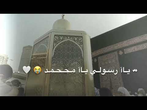 بدر العزي يا حبيبي يا محمد تصميم حالات واتس اب 2022