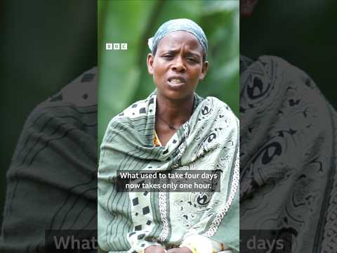 How Ethiopia S Harvest Revolution Has Changed Lives BBC Africa