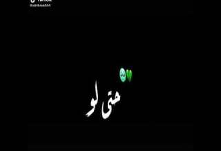 مصحبش فرافير حتى لو راكبين فيرارى