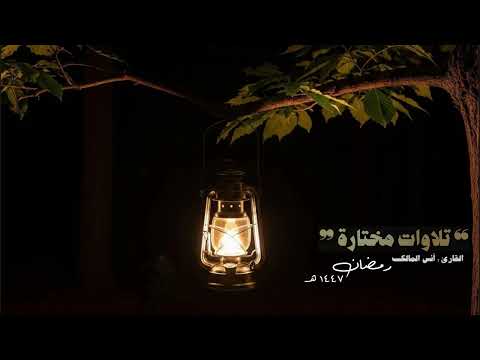 ما تيسر من سورة يوسف للقارئ أنس بن صالح المالك لعام ١٤٤٧ بجامع الرفيعة ببريدة