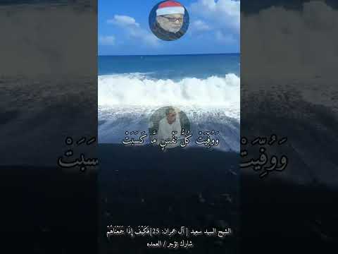 الشيخ السيد سعيد سورة آل عمران