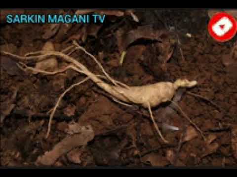 Sirrin Tsintuwar Kudi Aikin Sati Daya