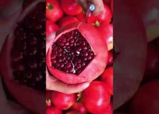 تقشير الرمان شاهد الرمان الاحمر رمان احمر جميل طريقة تقشير الرمان رمان Shorts