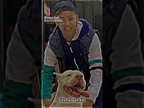 بغيتو الحرب اونيلا بغيتو الدبزة اونيلا