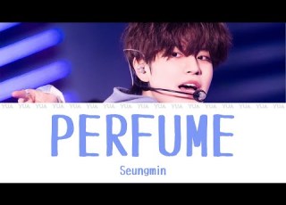 PERFUME Seungmin Stray Kids カナルビ 歌詞 日本語訳
