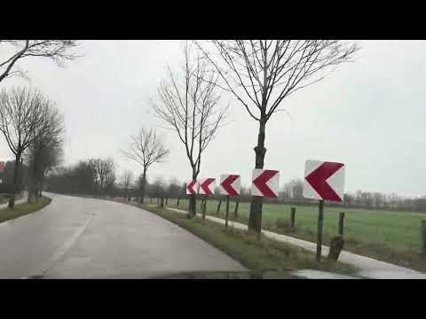 الشاب ميمون الوجدي مرجانة Cheb Mimoun El Oujdi Marjana