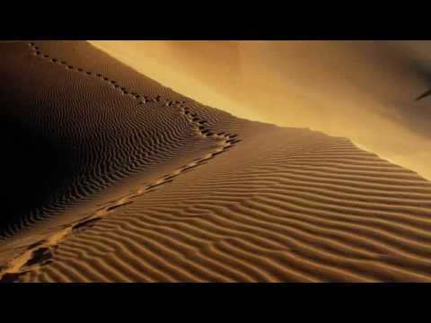 Gipsy Kings Viento Del Arena