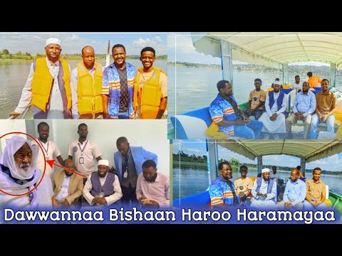 Maashaa Allah Bishaan Haroo Haramayaa Irra Bashananaa Jiran Sheikh Amiin Ibroo Faan