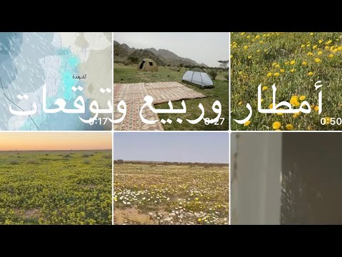 870 أمطار الخميس وفجر الجمعة ١٠ رمضان ١٤٤٧ على طريف وشرق الطآئف وادي بن هشبل ومناطق اخري