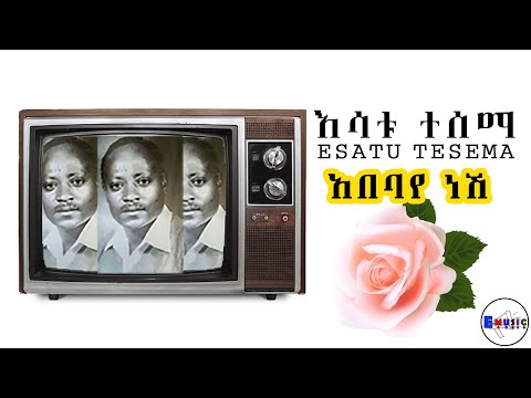 Esatu Tesema Abebaye Neshi እሳቱ ተሰማ አበባየ ነሺ DawitTsige