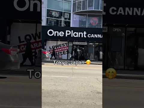 Memes Reisen Nachvollziehbar