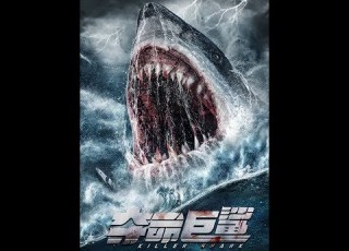 Killer Shark 2021 720p HD فيلم جديد روعة لن تندم علي مشاهدته