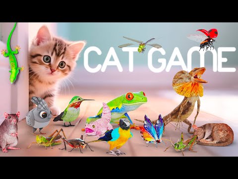 CAT GAMES 3D Game For Cats To Watch Ultimate CAT TV With Birds Mice More 4K60FPS