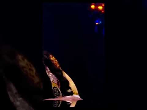 المذيعة بتسال دينا الراقصه مين بترقص احسن فيفى عبده ولا لوسي شوف قالت اه