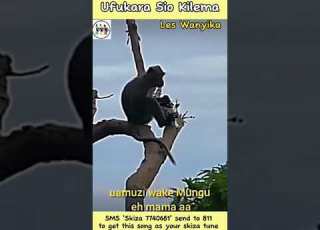 Ufukara Sio Kilema By Les Wanyika