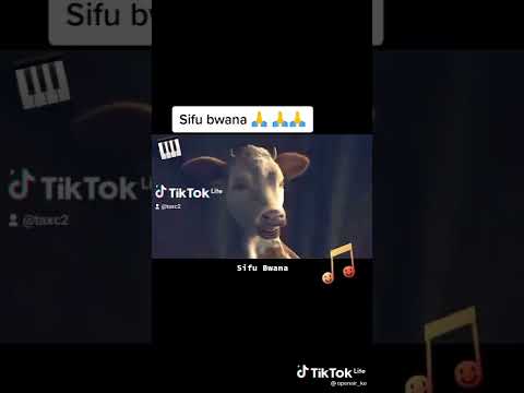 Sifu Bwana Khaligraph Jones