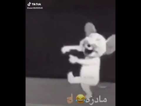 شوفو جيري يرقص ءةنة بيكيسي خلو لايك