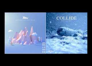 Tobu Return To The Wild X Elektronomia Collide NCS Mashup