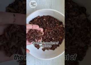  The Process Of Making White Chocolate
