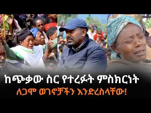 የጋሞ ዞን መርዶ