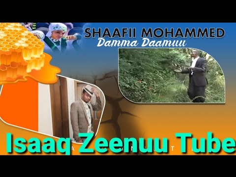 Shaafii Mohammed DAMMADAAMUU Old Ethiopian Oromo Music 2021 Isaaq Zeenuu Tube