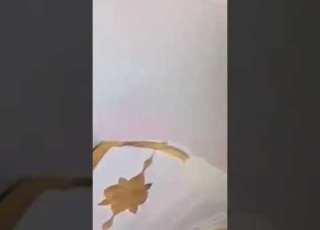 النائب ولد حرمة يسيئ لسلك القضاء الموريتاني