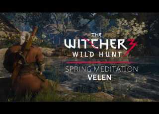 Witcher 3 Velen Spring Meditation Music Ambience