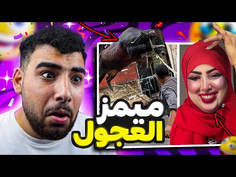 ميمز المصريين الغريبة في العيد ميمز مضحكة ميمز المصريين الغريبة في العيد ميمز مضحكة