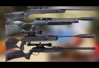 Top 10 Best Gamo Air Rifles 2025 Best Gamo Air Rifle For Hunting 2025