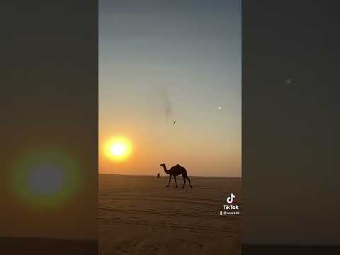 قصف بدبه