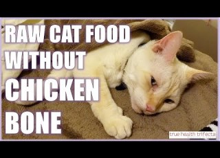 How To Make Raw Cat Food WITHOUT Bones Chicken Bone Substitutions Cat Lady Fitness