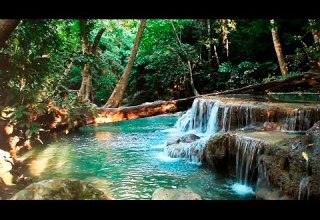 Rainforest Sounds Water Sound Nature Meditation