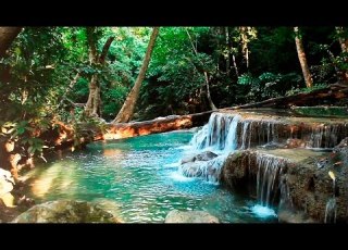 Rainforest Sounds Water Sound Nature Meditation