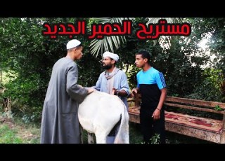 مستريح الصعيد الجديد شوف نصب ازاي علي الناس