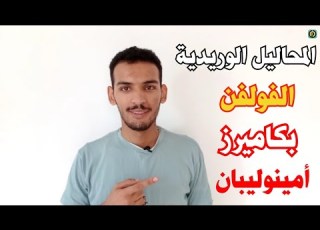 سلسلة المحاليل الوريدية الفولفن بكاميرز أمينوليبان
