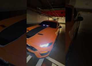 Shorts Colombia Blonde Mustang Mustangmach1 Carrosdeportivos