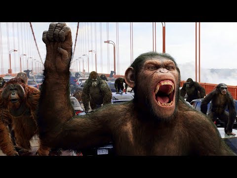 Apes Vs Humans Bridge Battle Rise Of The Planet Of The Apes 2011 Movie Clip HD