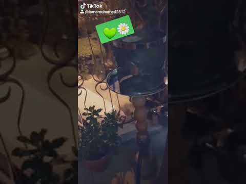 اذينة العلي انتو من الجرد ونحنا من الساحل حالات واتساب اذينة العلي انتو من الجرد ونحنا من الساحل حالات واتساب