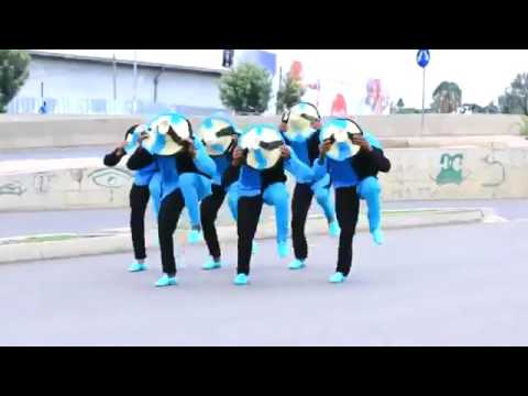 Sabboontiti Intala Salaale Itti Boharame Qindeesan Lagayu Laga Dubraa